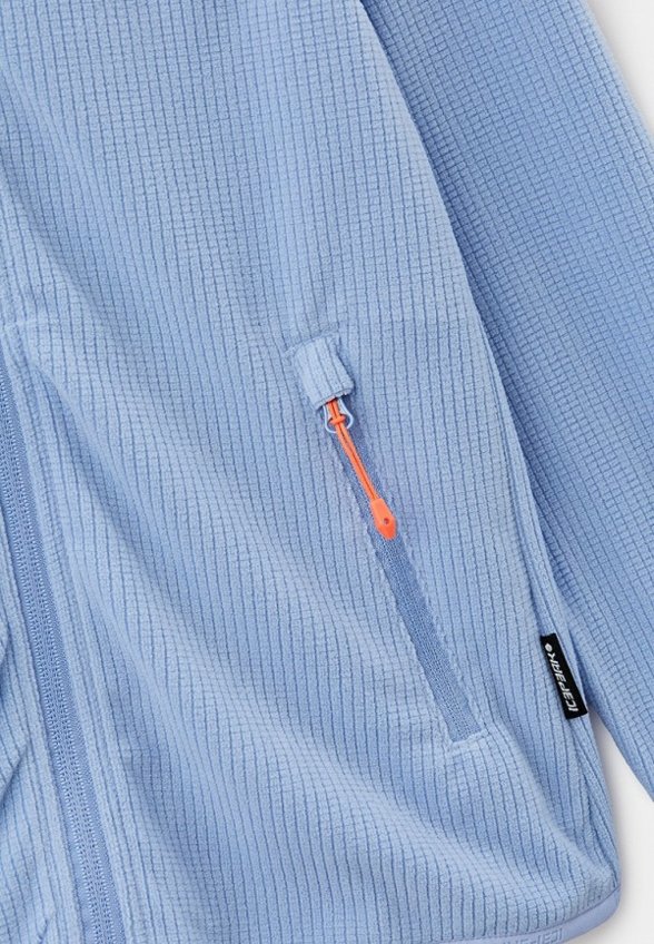 Олимпийка Icepeak