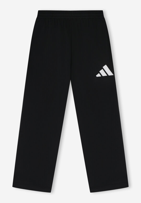 Брюки мужские Adidas, Черный