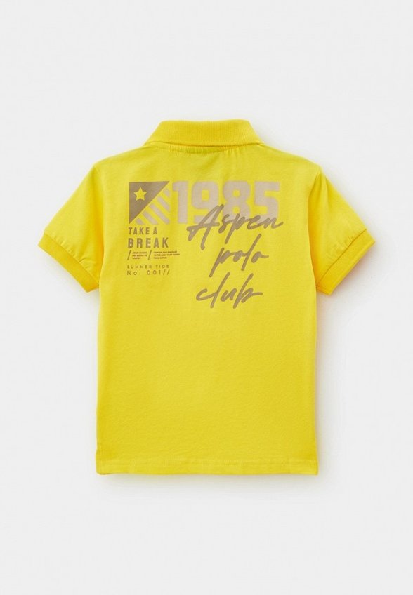 Поло Aspen Polo Club