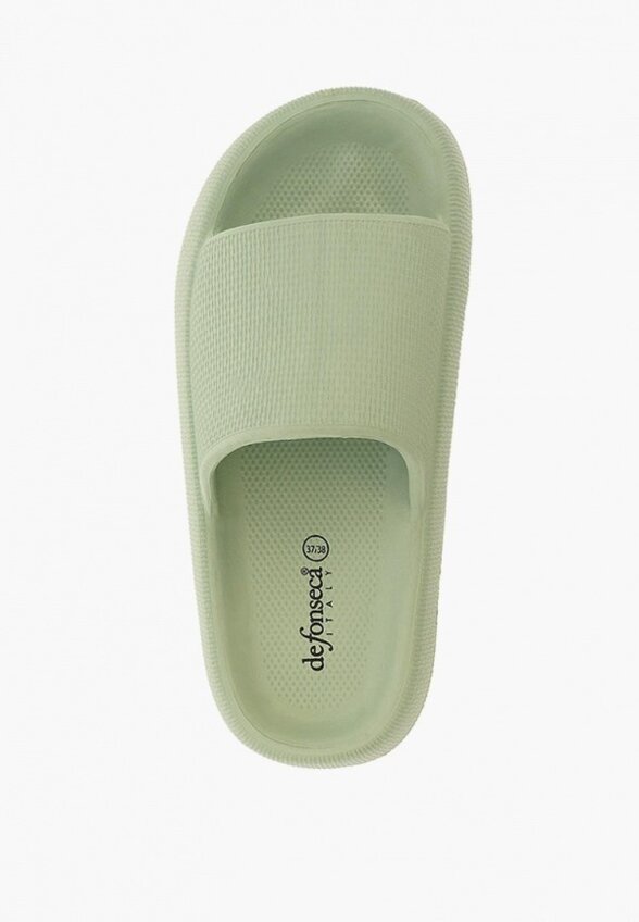 Сланцы De Fonseca