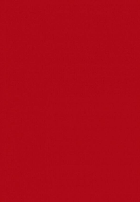 Помада жидкая Arive Makeup