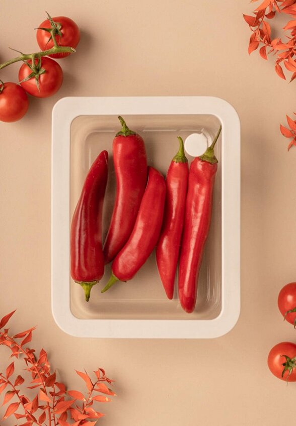 Контейнер для хранения продуктов Smart Solutions