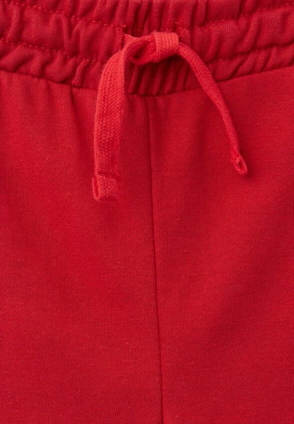 Брюки спортивные Terranova