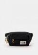 Сумка поясная The North Face1  - превью