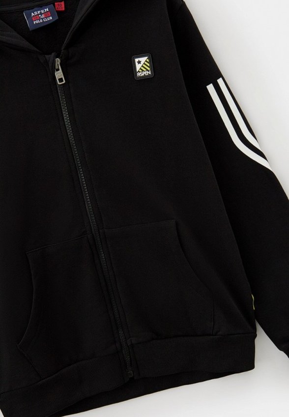 Толстовка Aspen Polo Club