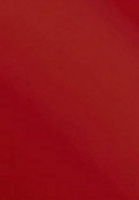 Тинт для губ Focallure