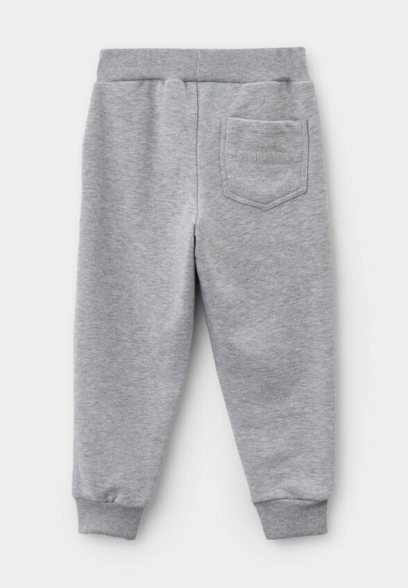 Брюки спортивные Stormies