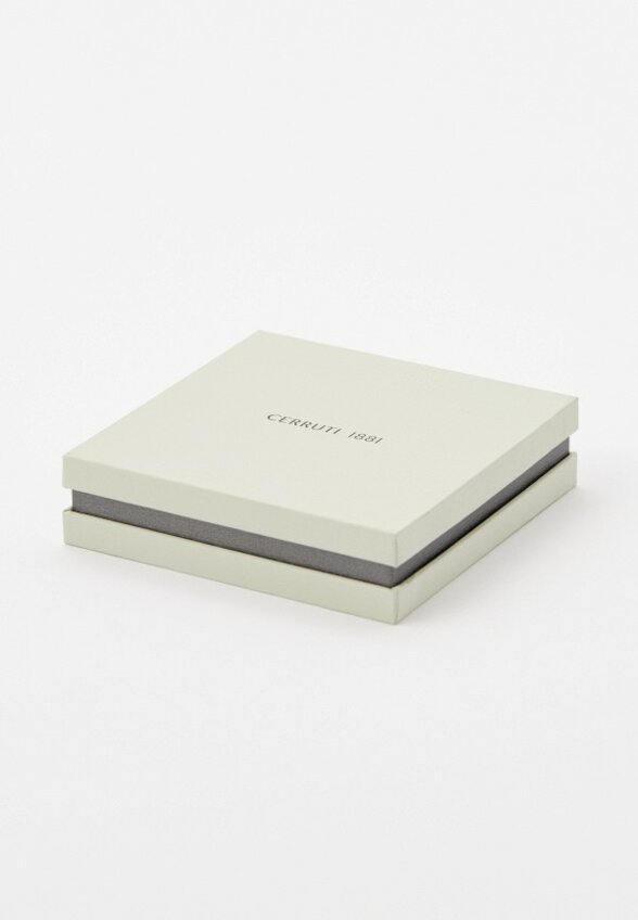 Серьги Cerruti 1881