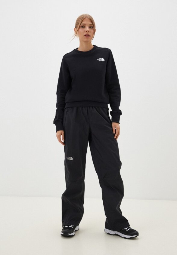 Брюки спортивные The North Face