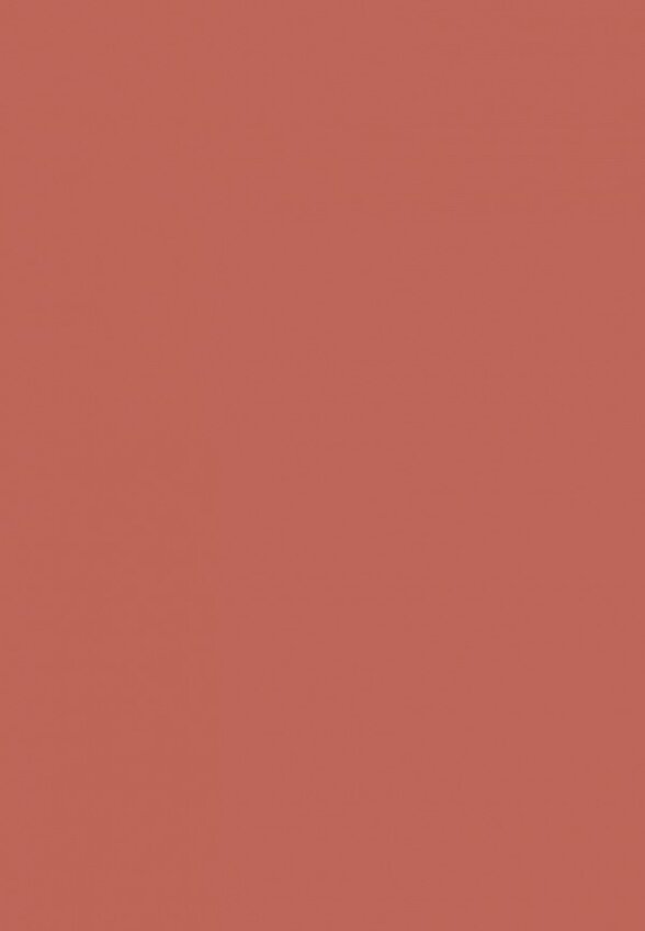 Блеск для губ Ninelle