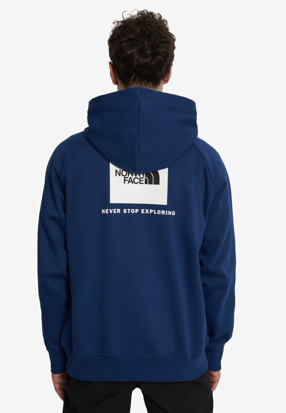 Худи мужское The North Face Raglan Box Nse, Синий
