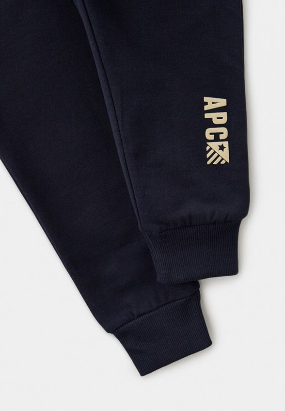 Брюки спортивные Aspen Polo Club