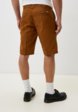 Шорты Dickies3  - превью