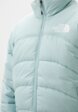 Куртка утепленная The North Face5  - превью