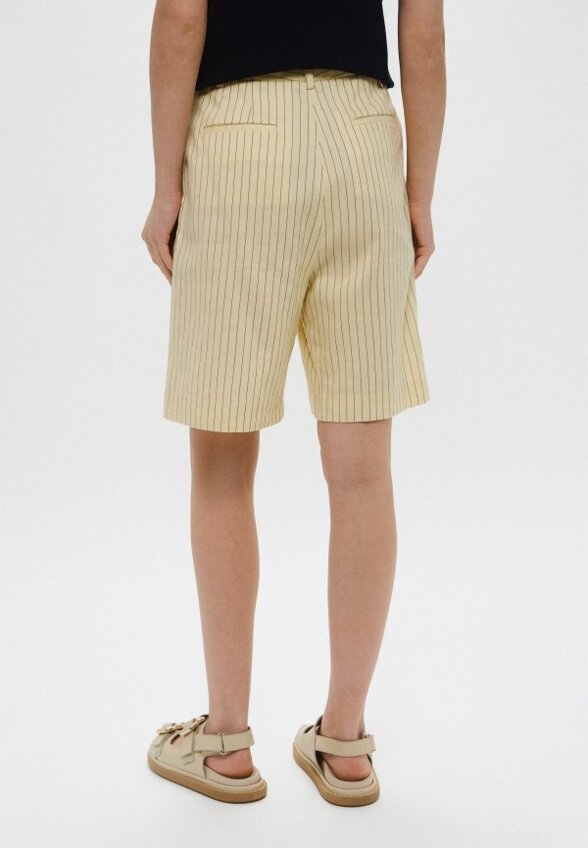 Шорты Trussardi