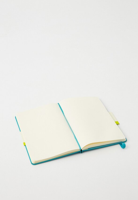 Блокнот Moleskine