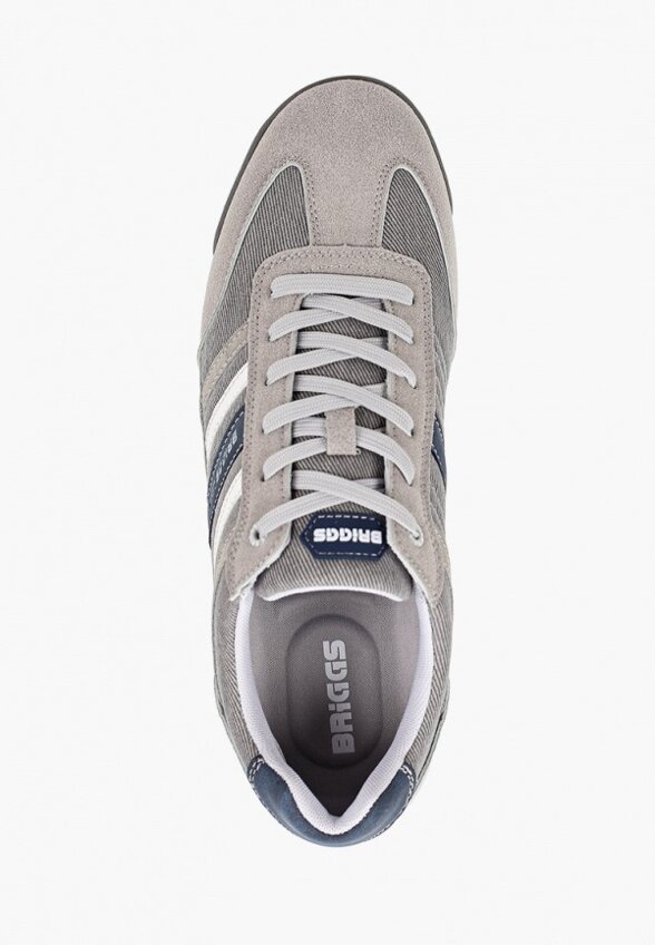 Кроссовки Briggs