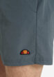 Шорты плавательные мужские Ellesse, Серый4  - превью