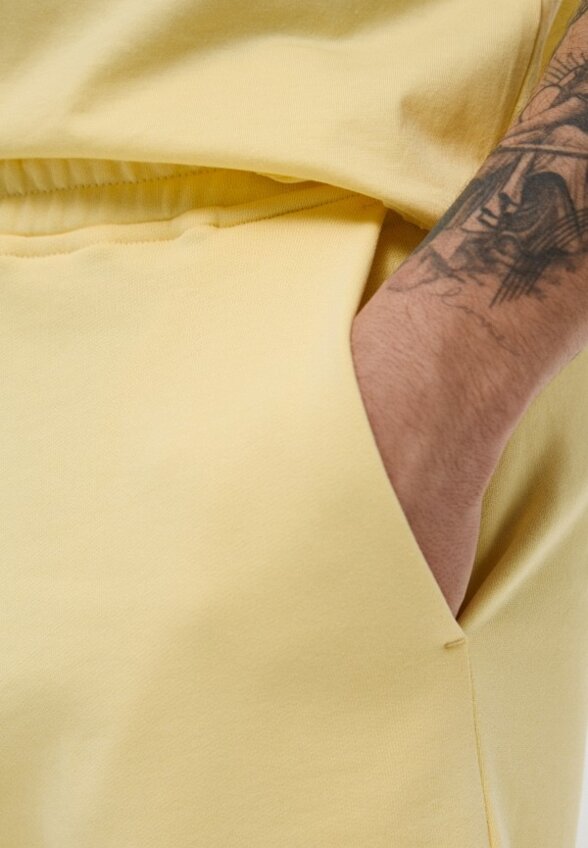 Шорты спортивные Les Benjamins