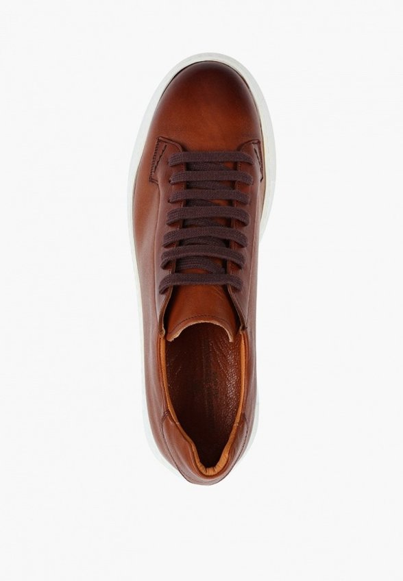 Кеды Salvatore Brunacci