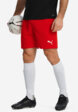 Шорты мужские PUMA Teamrise, Красный1  - превью