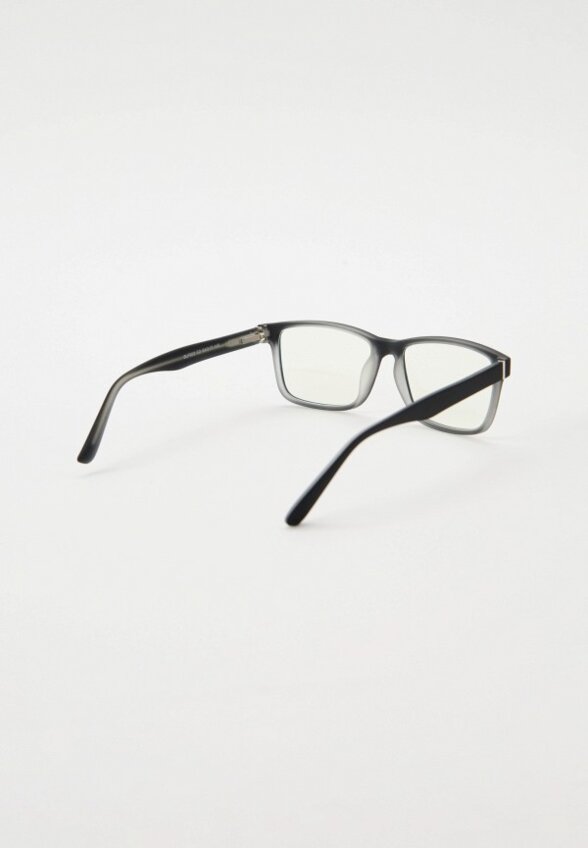 Очки для компьютера Lectio Risus