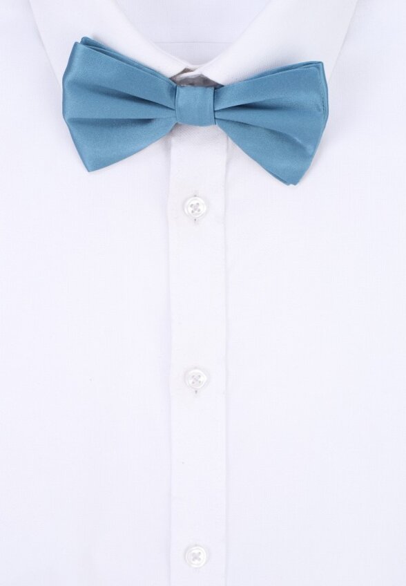 Бабочка Dolce&Gabbana