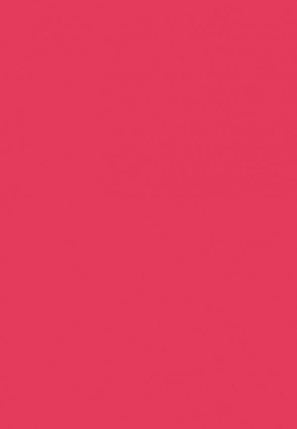 Румяна Revolution