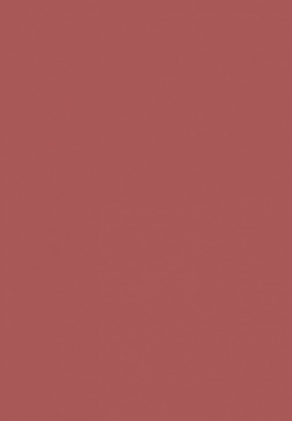 Помада L'Oreal Paris