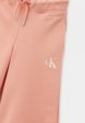 Брюки спортивные Calvin Klein Jeans3  - превью