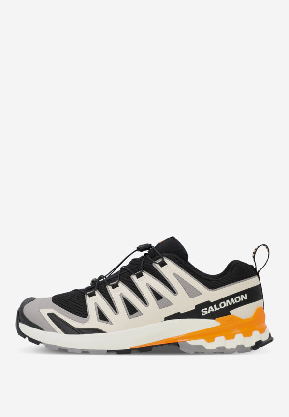 Кроссовки мужские Salomon XA Pro 3 D V9, Черный