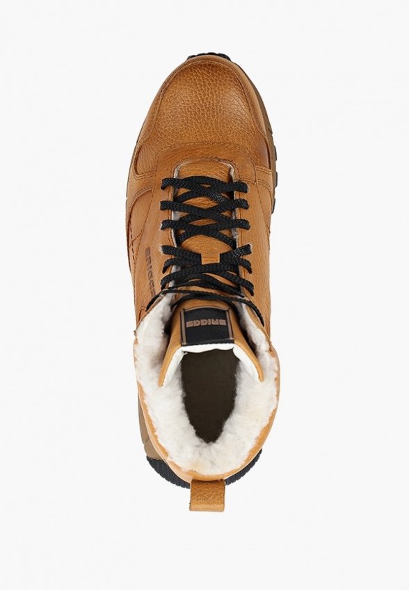 Кроссовки Briggs