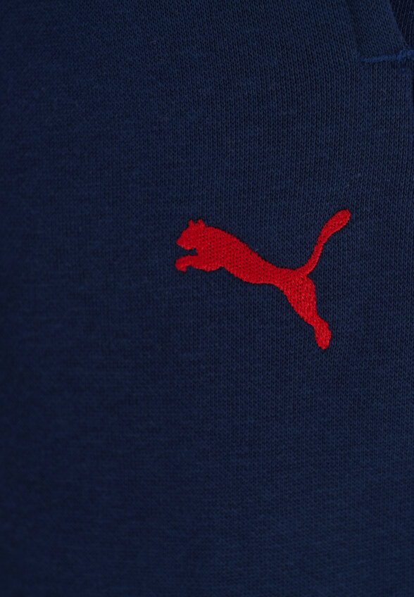 Брюки для мальчиков PUMA Basketball Hooperhotline, Синий