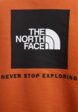 Свитшот The North Face5  - превью