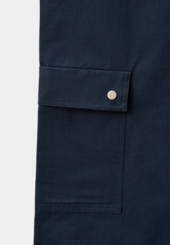 Брюки Ad Astra Lab