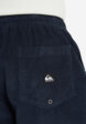 Шорты мужские Quiksilver Taxer Cord, Синий7  - превью