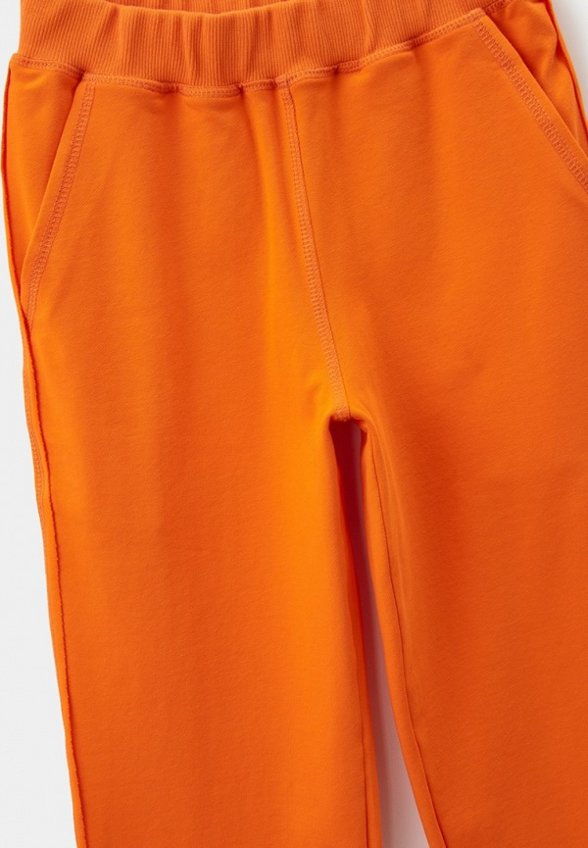 Брюки спортивные Alex Yvn