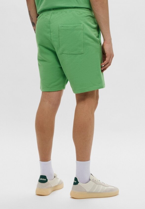 Шорты спортивные Les Benjamins