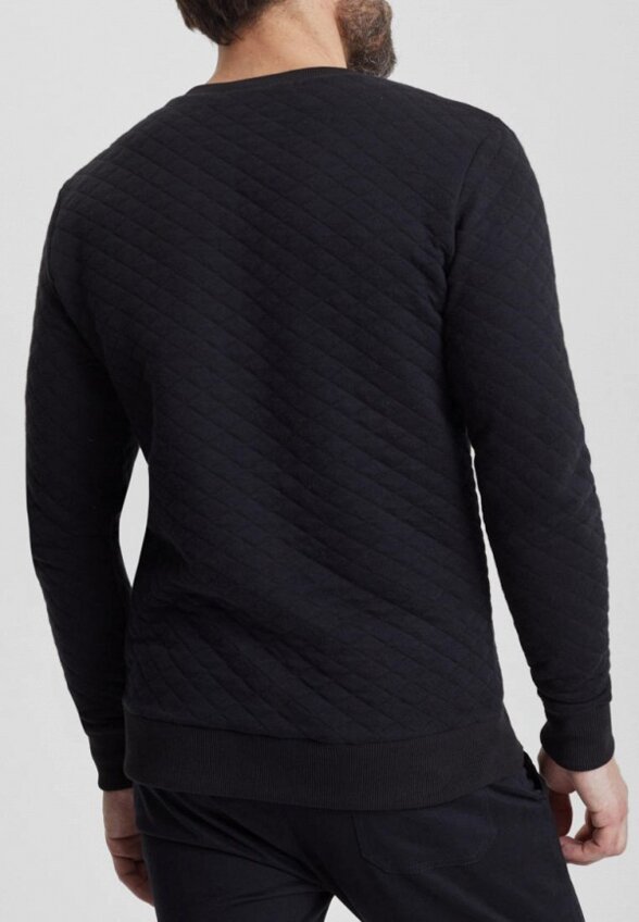 Свитшот Envylab