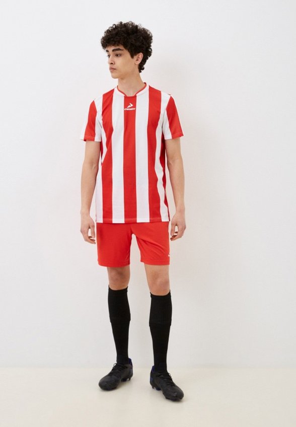 Футболка спортивная Demix