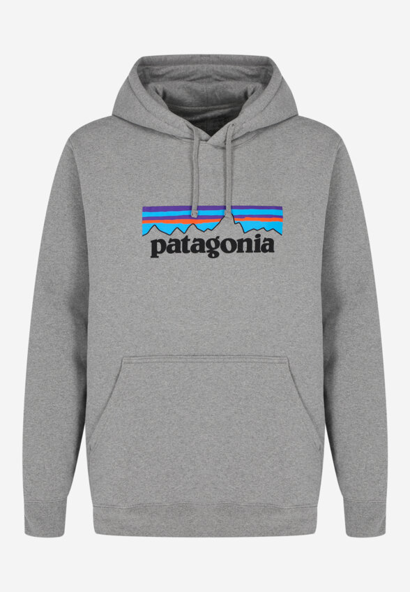 Худи мужское Patagonia Logo Uprisal, Серый
