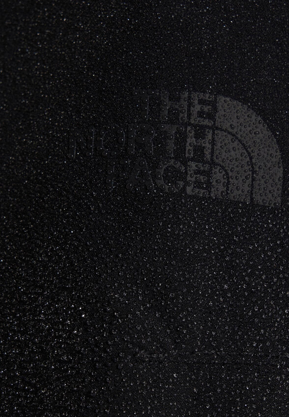 Брюки мужские The North Face Basin Pant, Черный