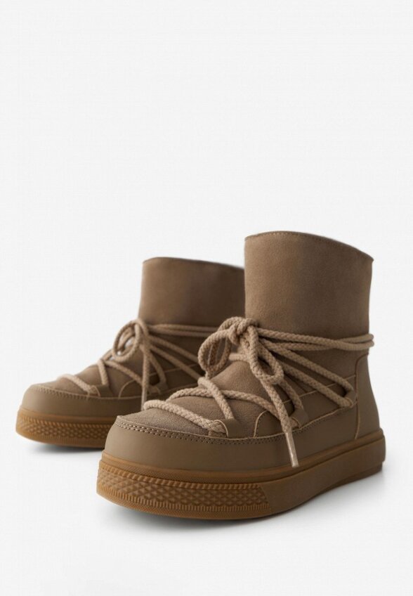 Луноходы Wysh