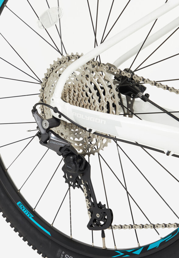 Велосипед горный Polygon Xtrada 7 29