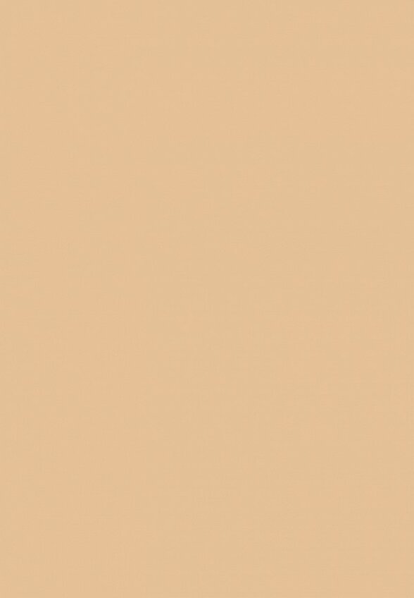 Консилер Arive Makeup