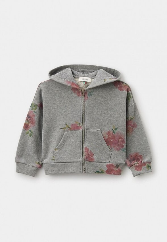 Толстовка Dixie