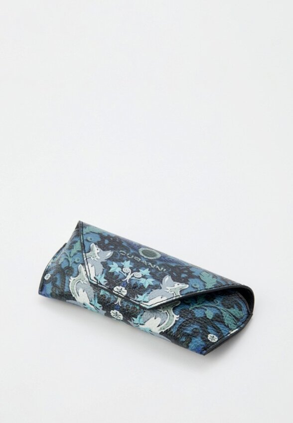 Чехол для очков Curanni