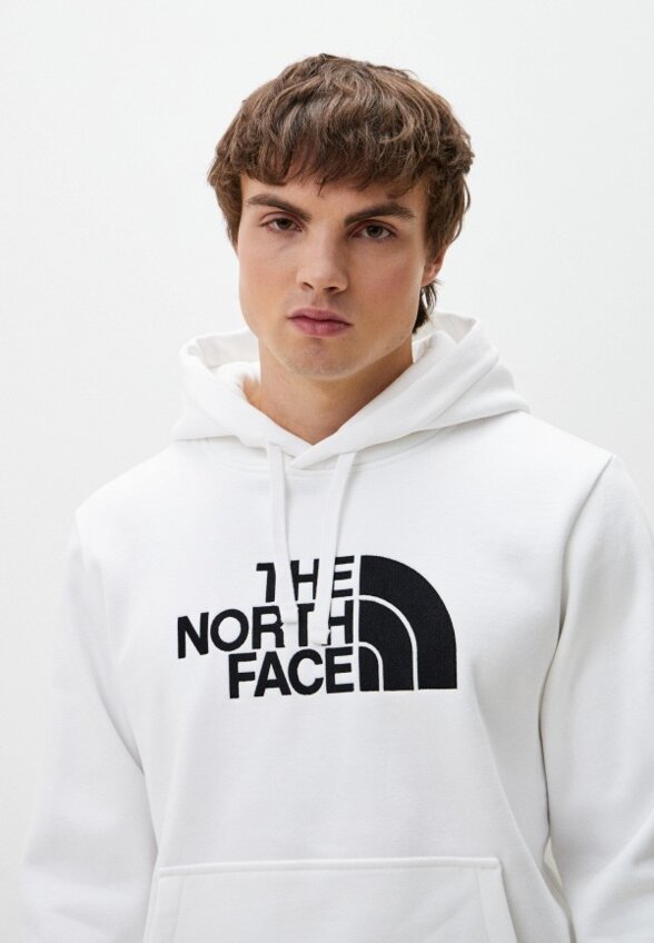 Худи The North Face