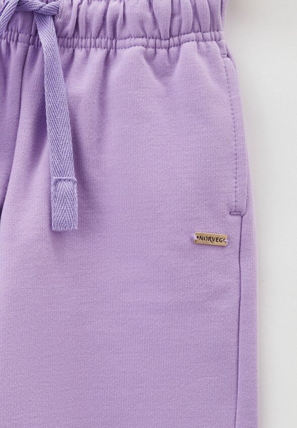 Шорты спортивные Norveg