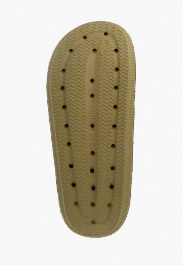 Сланцы De Fonseca